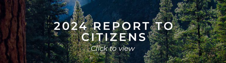 2024 Report to Citizens button