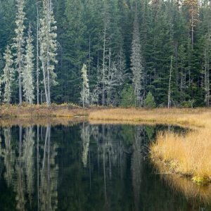 The calm reflective lake in Idaho.