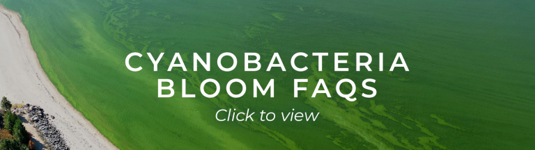 Cyanobacteria Bloom FAQs button