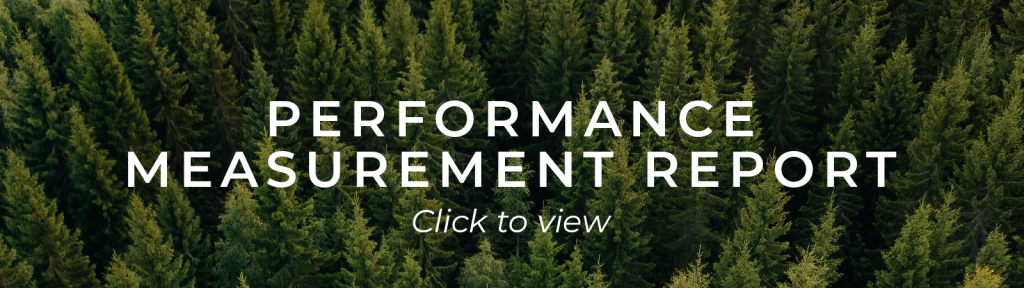 Performance Measurement Report button - click to view