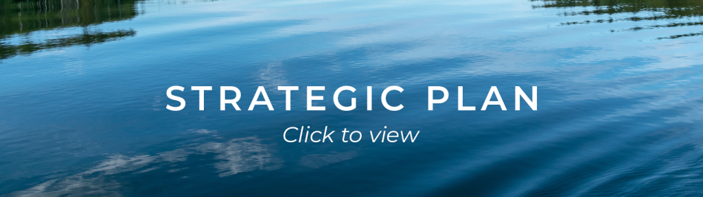 Strategic Plan Button - Click to view